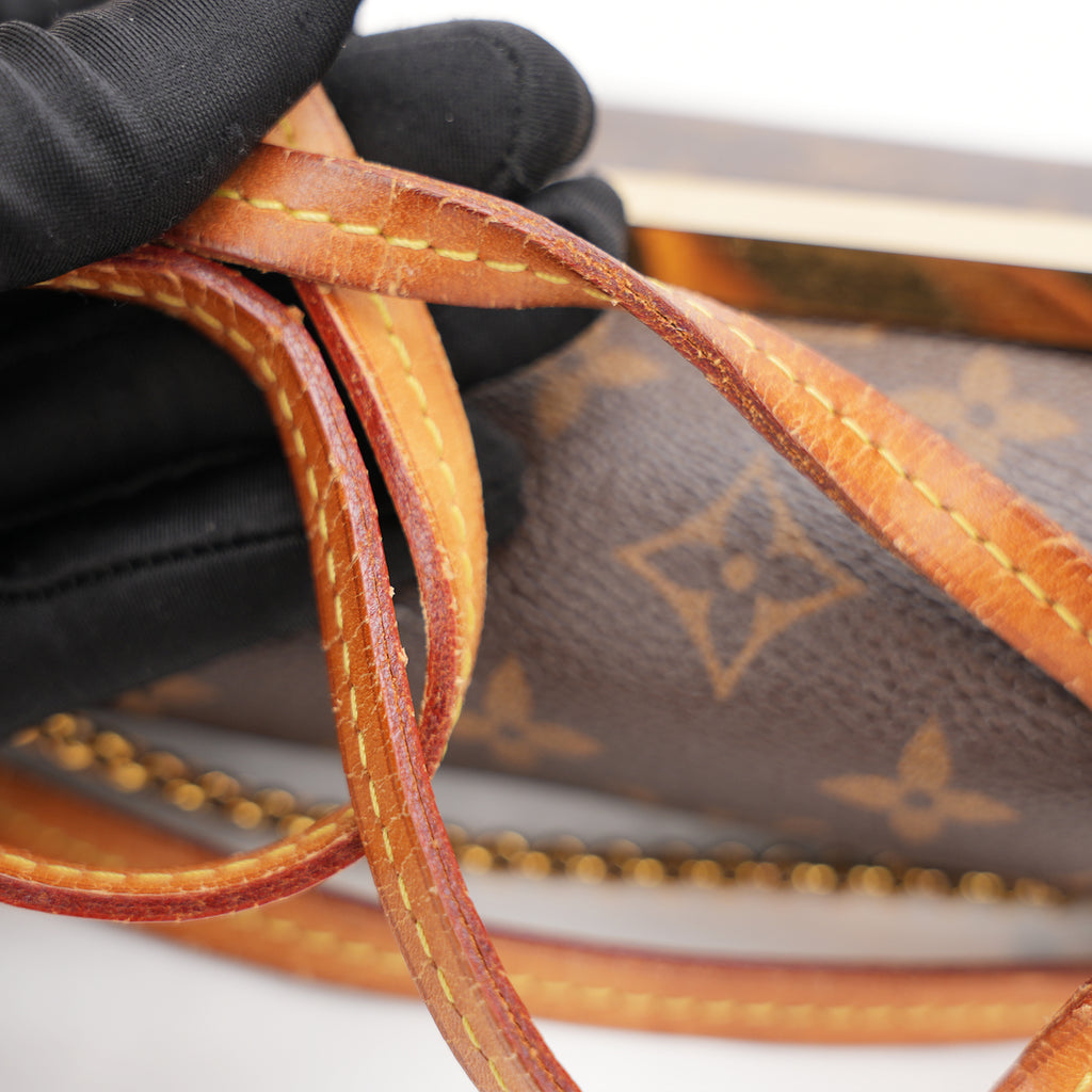 Louis Vuitton Favorite Monogram marrone SA1115