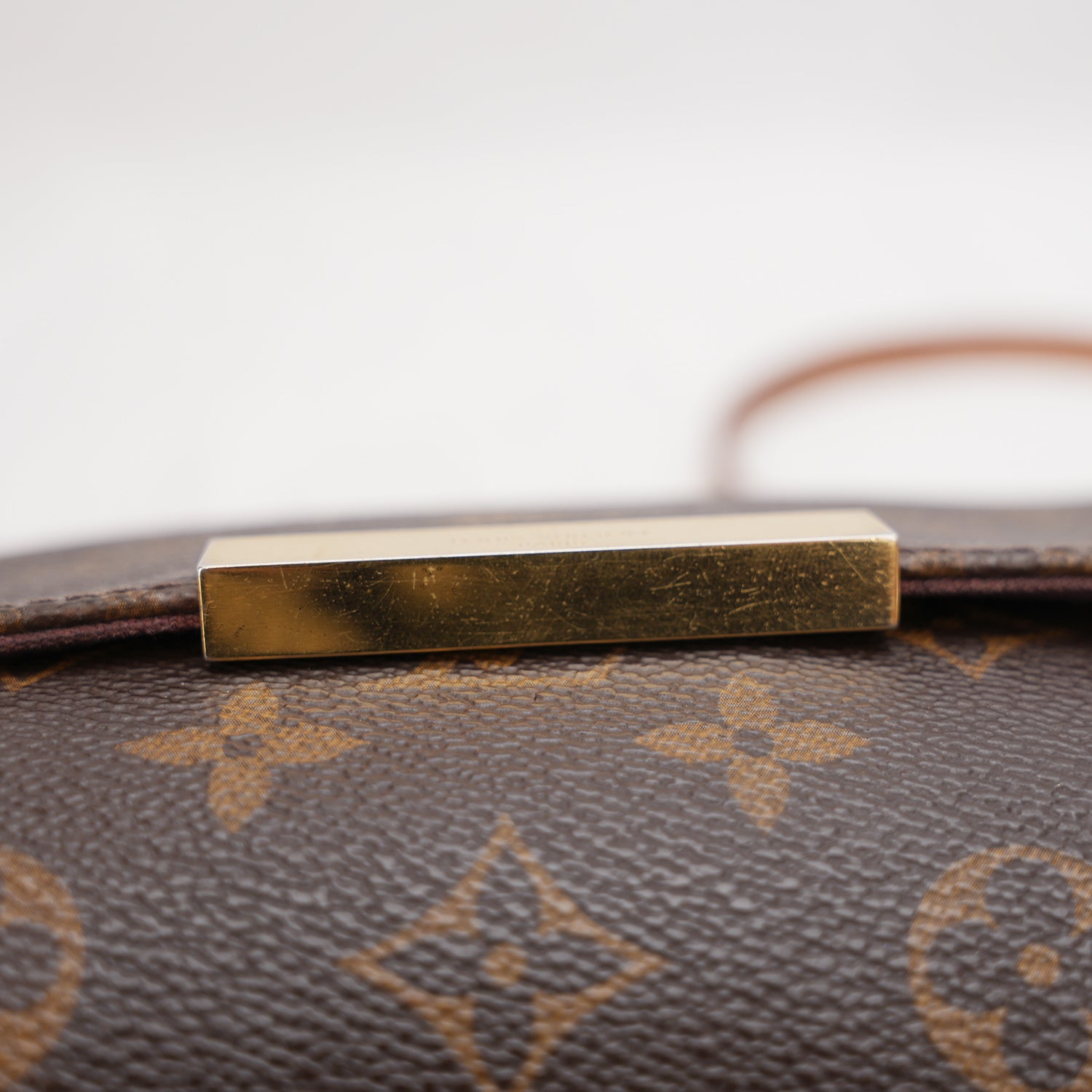 Louis Vuitton Favorite Monogram marrone SA1115