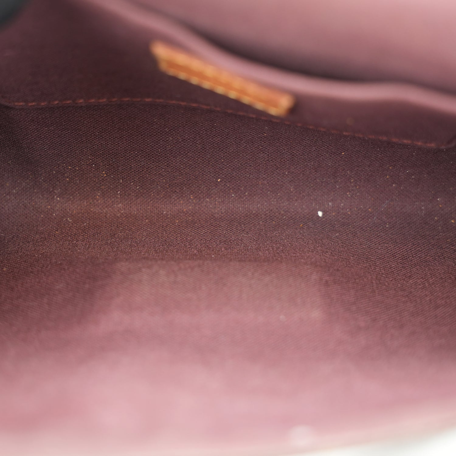 Louis Vuitton Favorite Monogram marrone SA1115