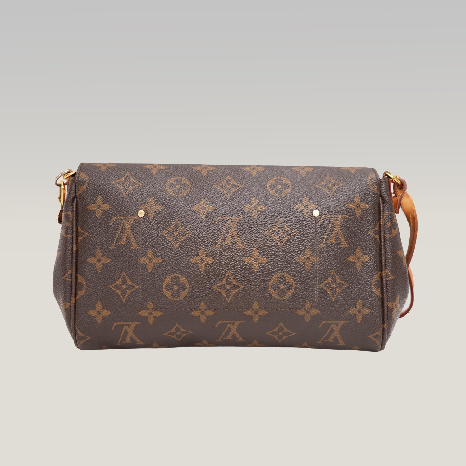 Louis Vuitton Favorite Monogram marrone SA1115