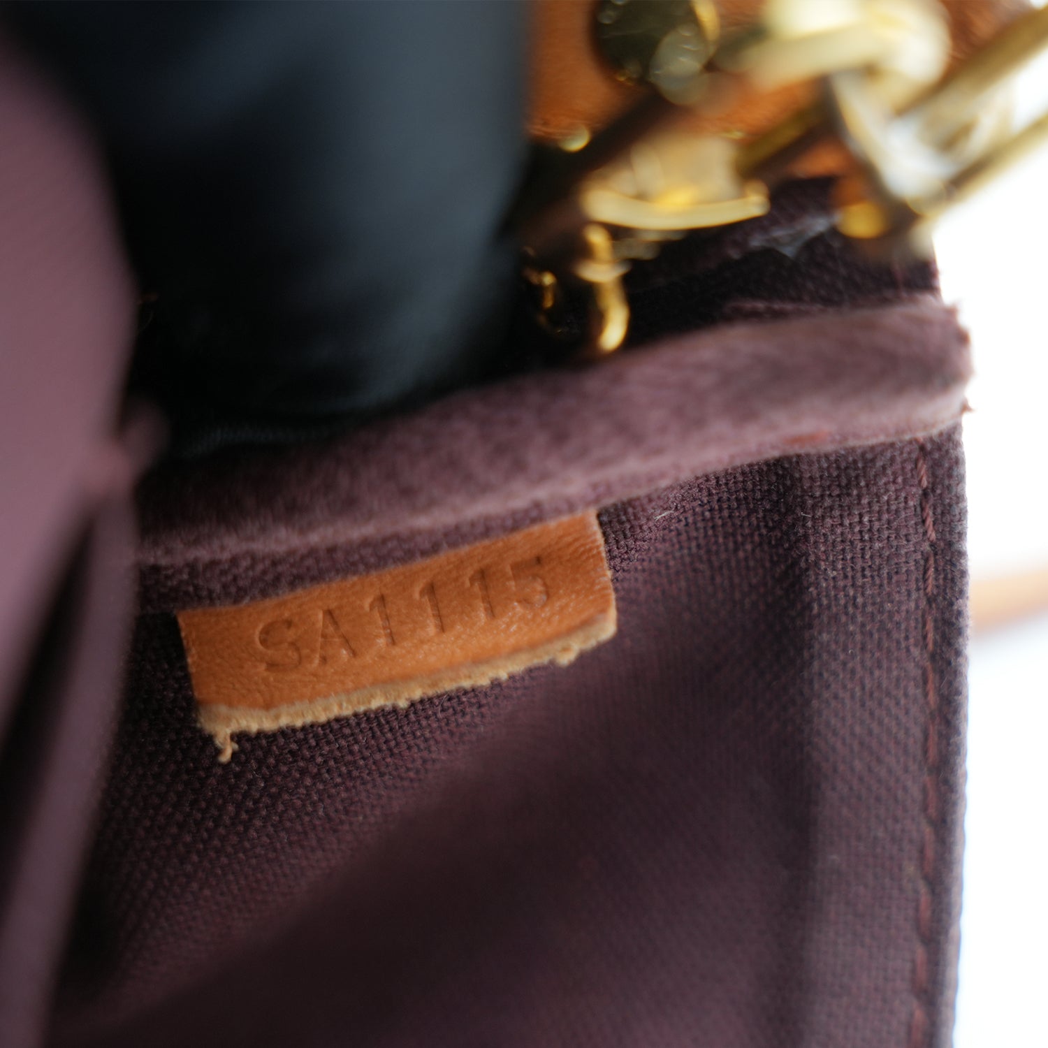 Louis Vuitton Favorite Monogram marrone SA1115