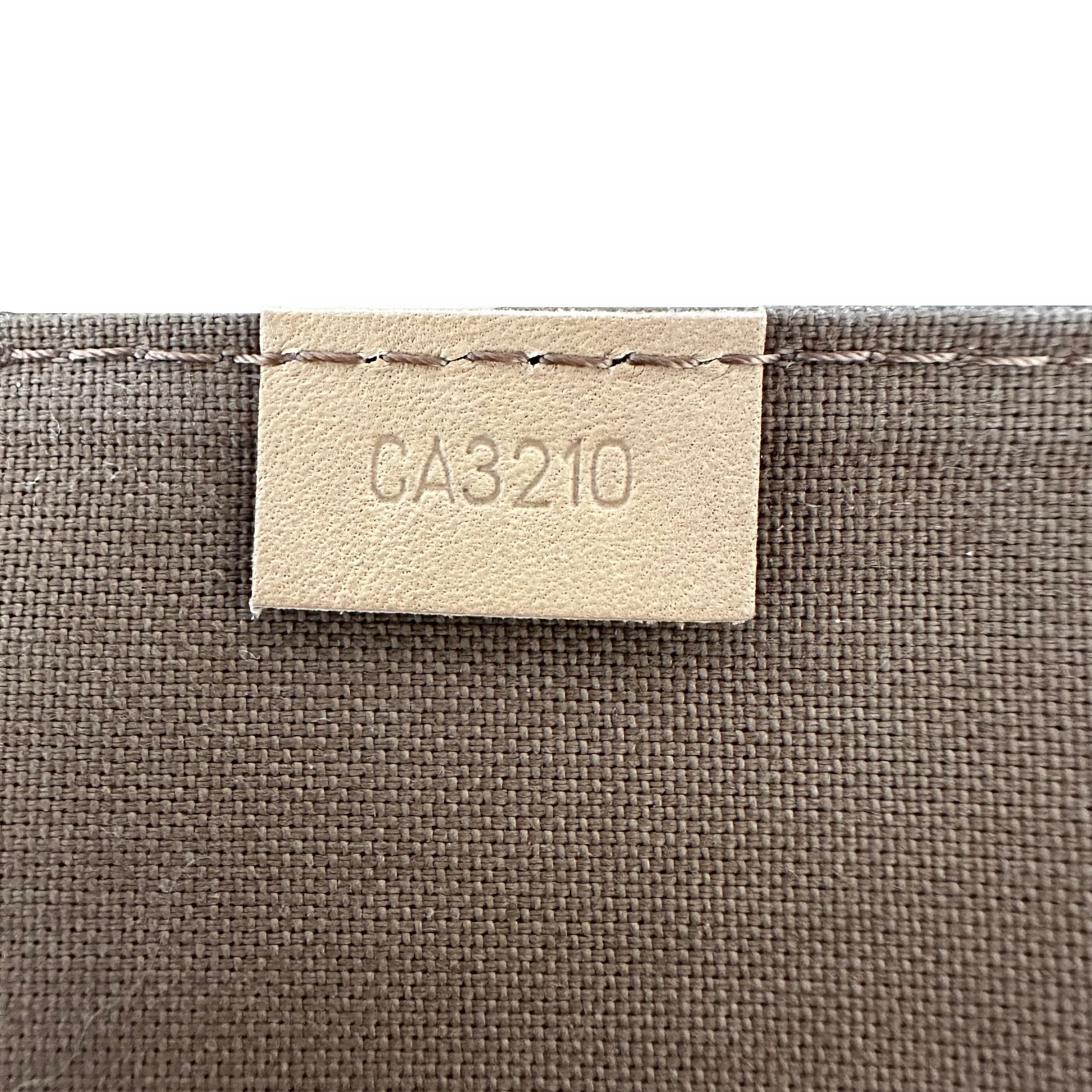 Louis Vuitton Petit Sac Plat Mini Bag