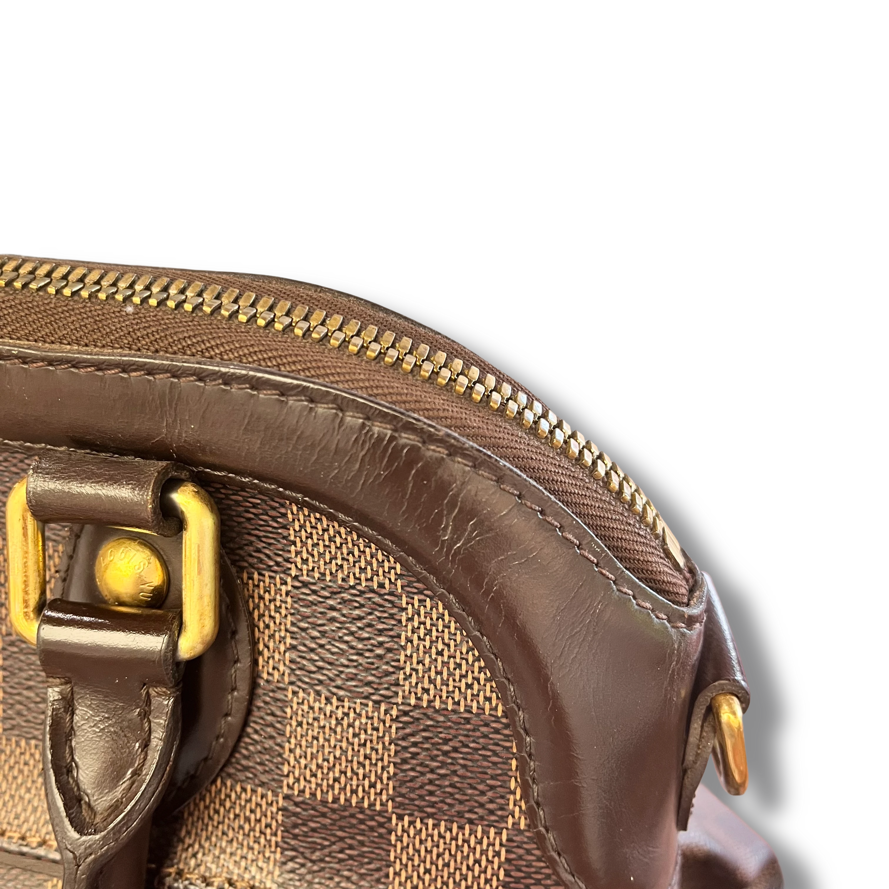 Louis Vuitton Pre-Owned Damier Ebene Trevi PM