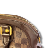 Louis Vuitton Pre-Owned Damier Ebene Trevi PM