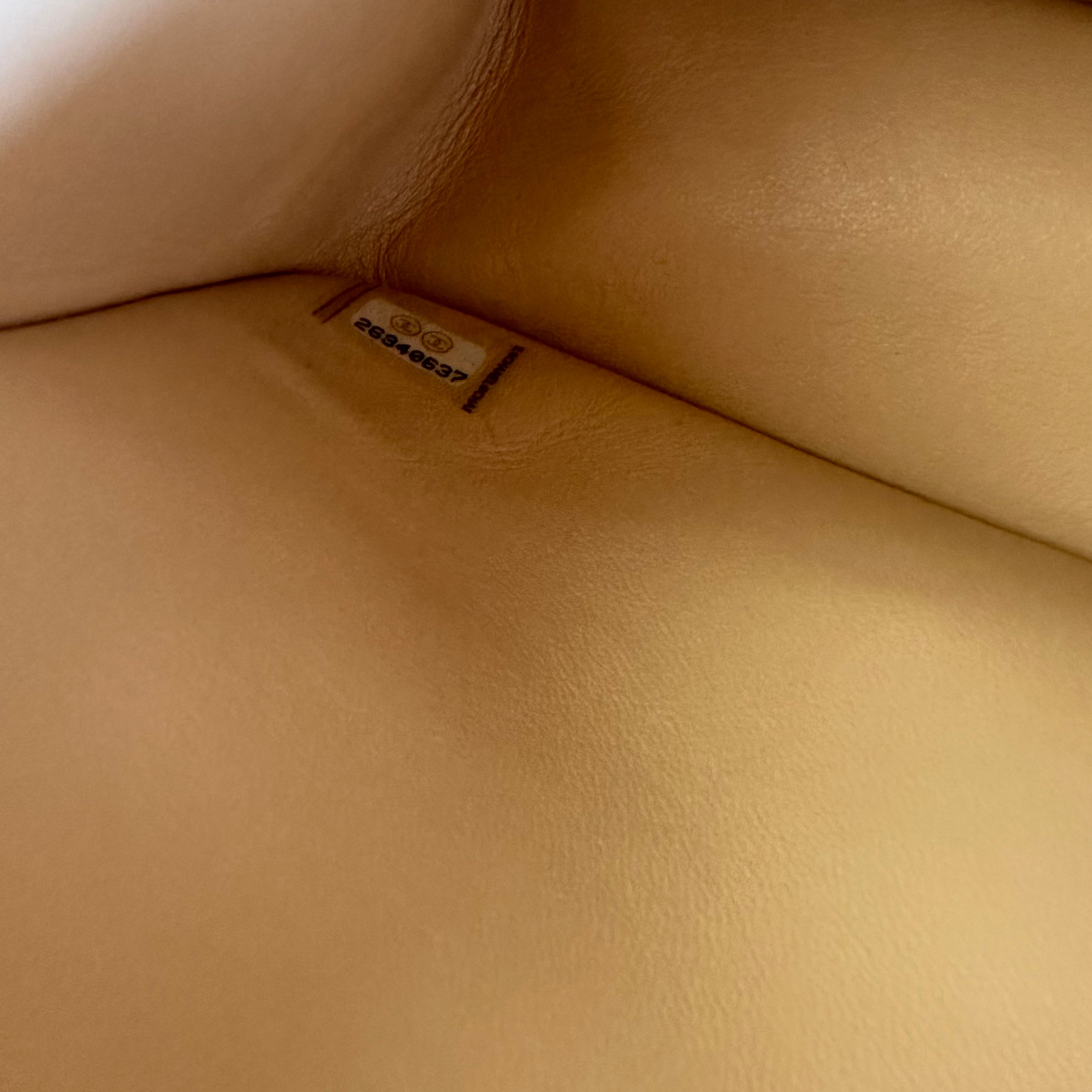 Chanel Medium Classic Double Flap Bag