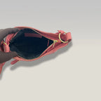 BALENCIAGA Classic Motorcycle Rosa con Borchie Oro