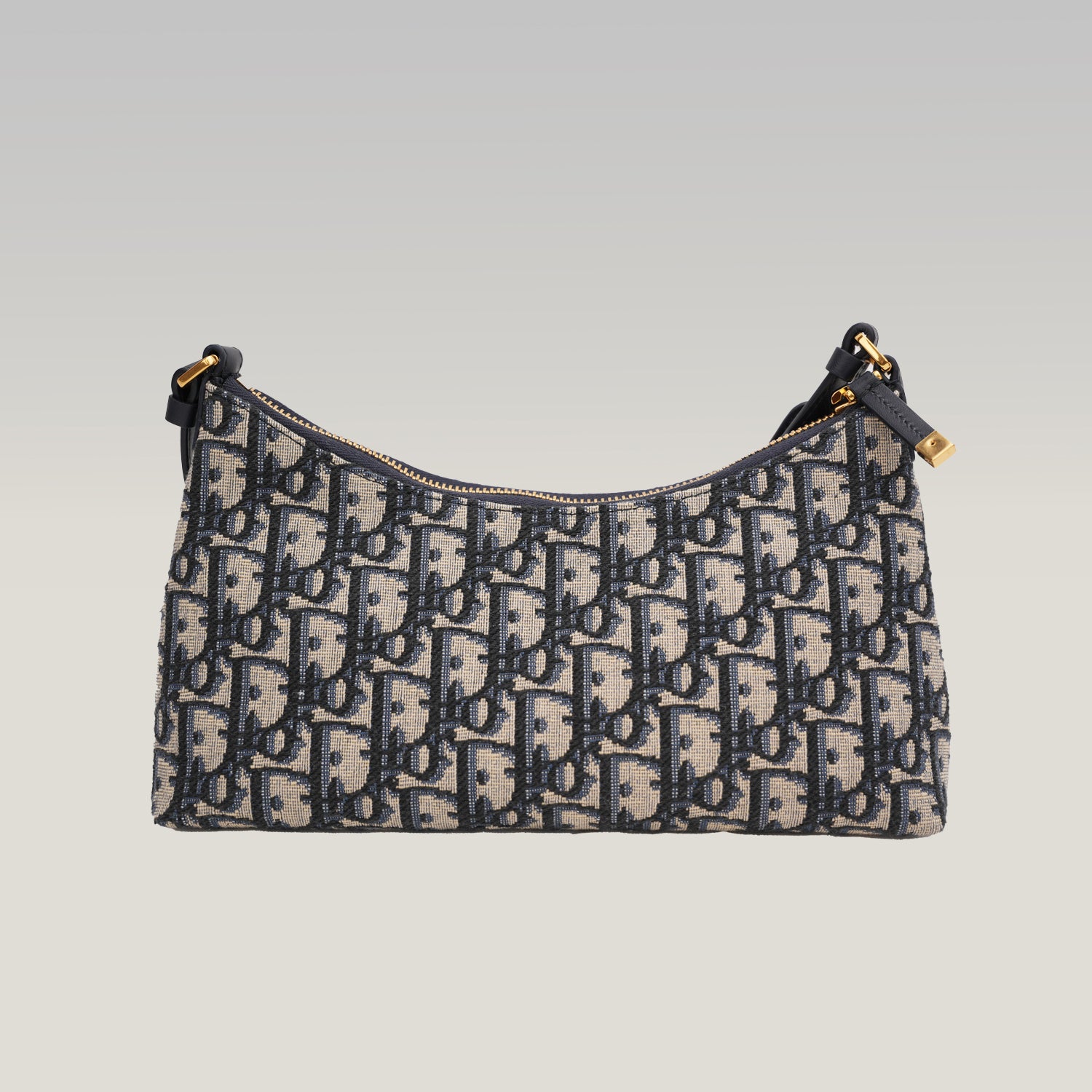 Dior Borsa Hobo 30 Montaigne Cigale