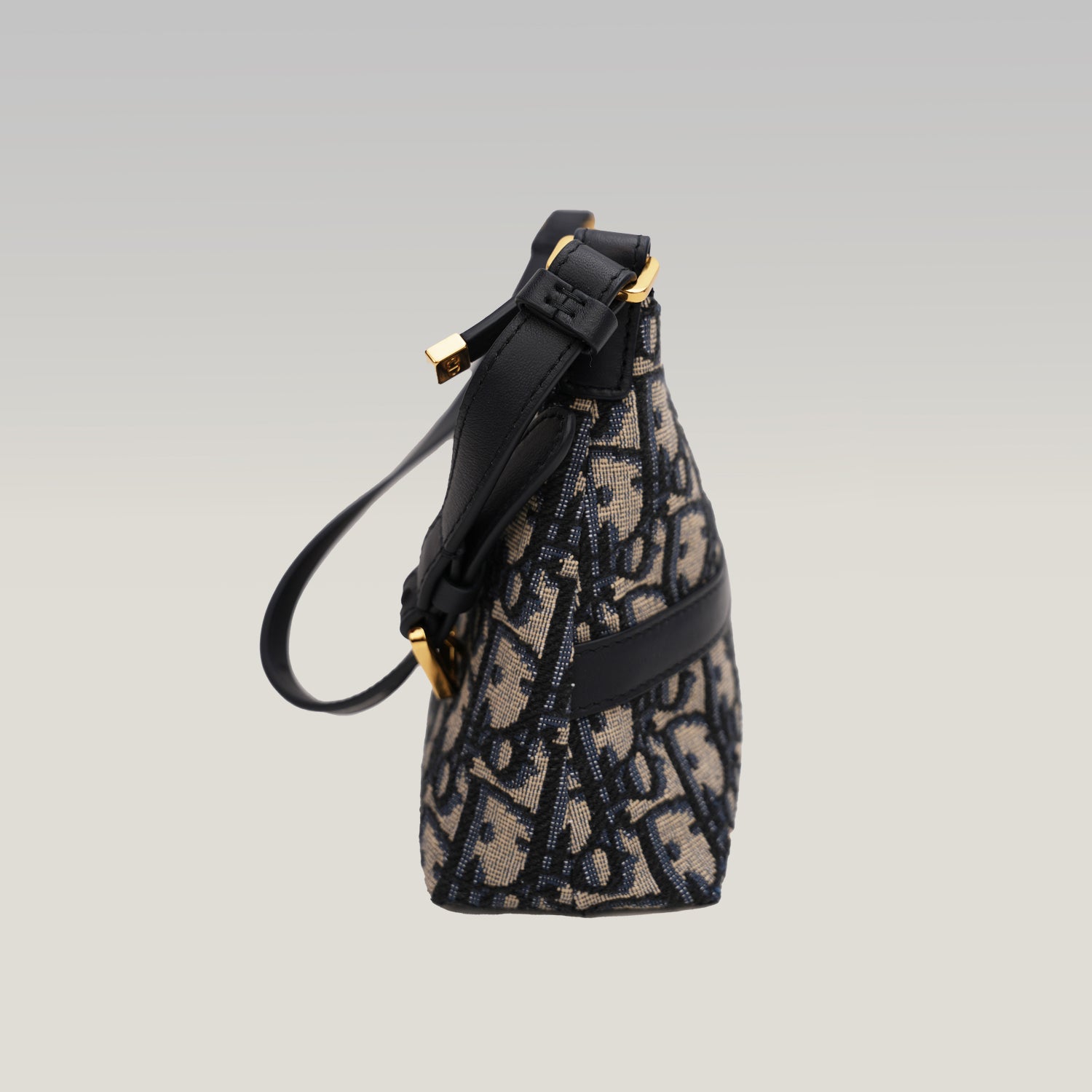 Dior Borsa Hobo 30 Montaigne Cigale