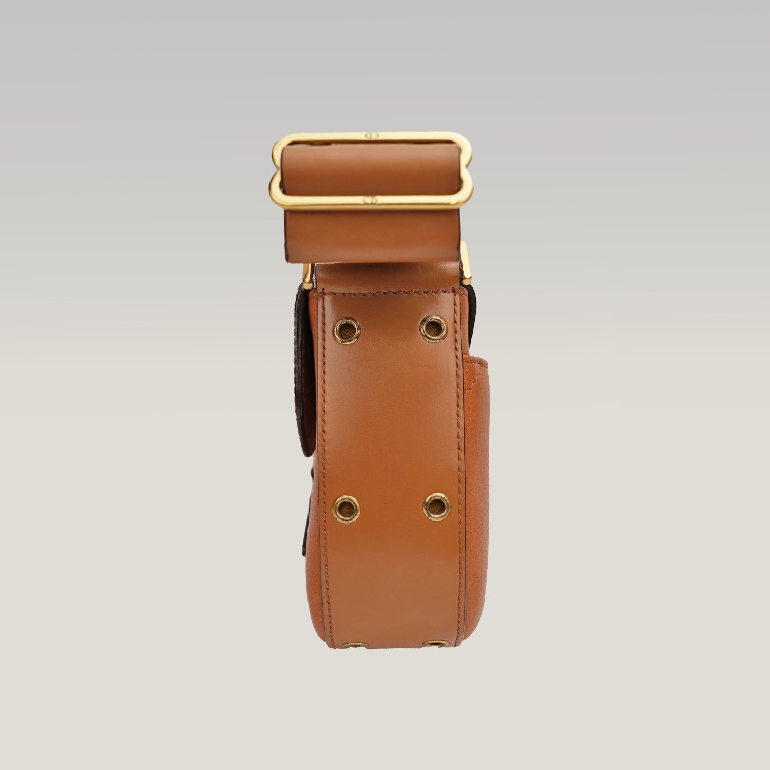 Dior Borsa Street Chic Columbus in pelle color cognac