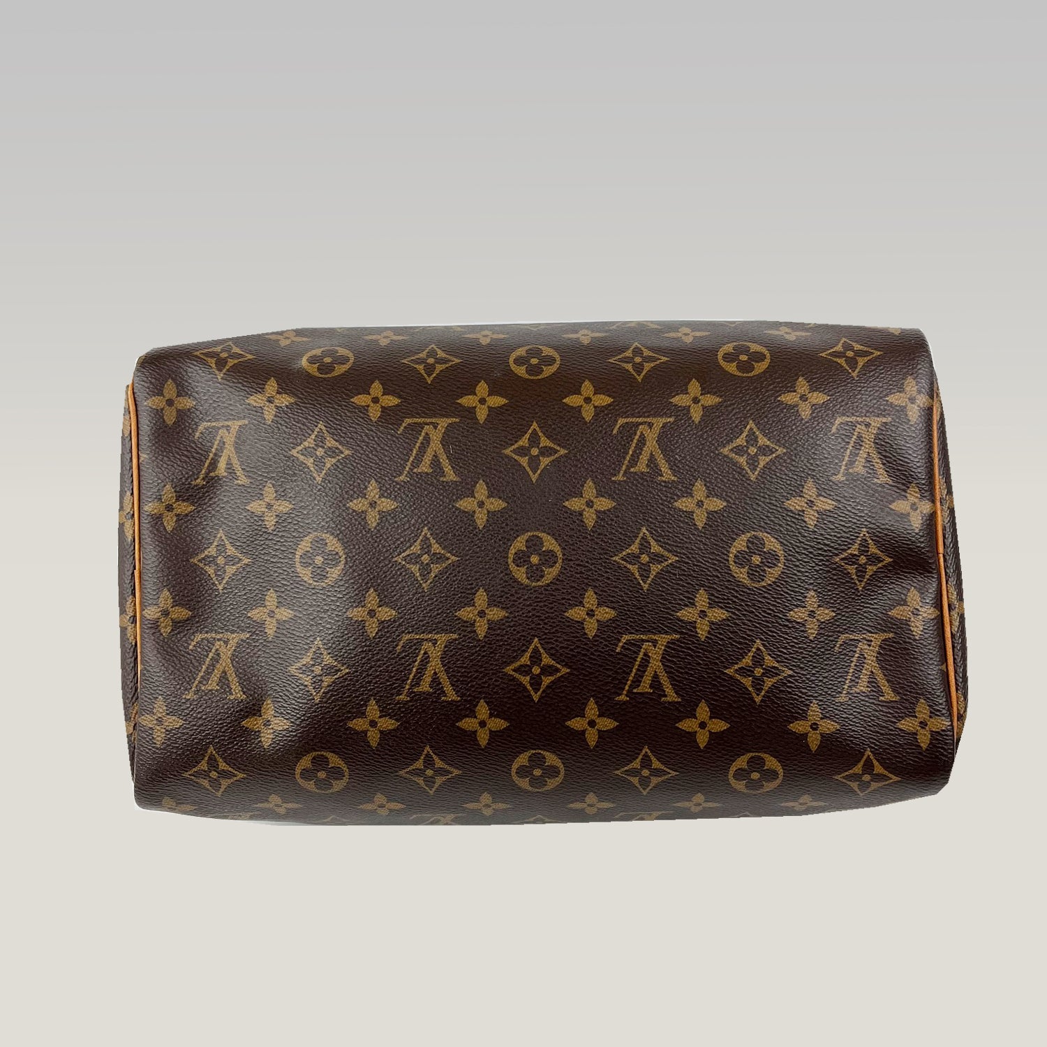Louis Vuitton Speedy 30 Monogram Canvas Borsa a Mano Iconica