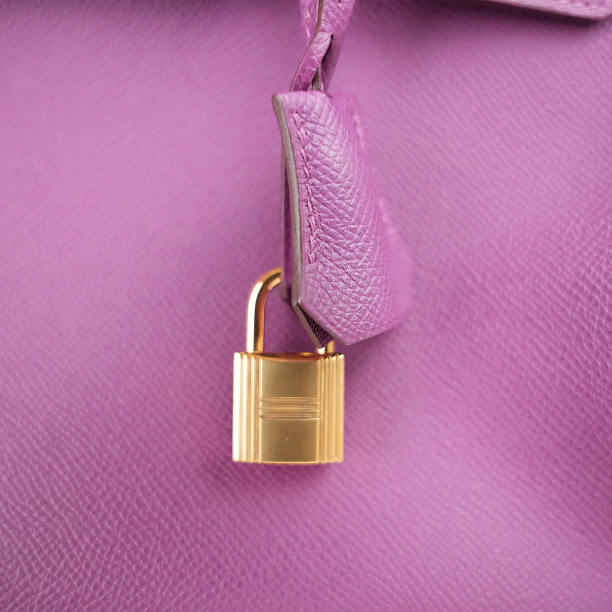 Hermès Birkin 30 Anemone in Pelle Epsom con Hardware Dorato
