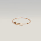 Cartier Juste un Clou PM Bracciale in Oro Rosa Misura 19 con Carta di Garanzia