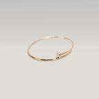 Cartier Juste un Clou PM Bracciale in Oro Rosa Misura 19 con Carta di Garanzia