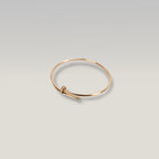 Cartier Juste un Clou Bracciale in Oro Rosa Misura 18 con Scatola – Bracciale Donna