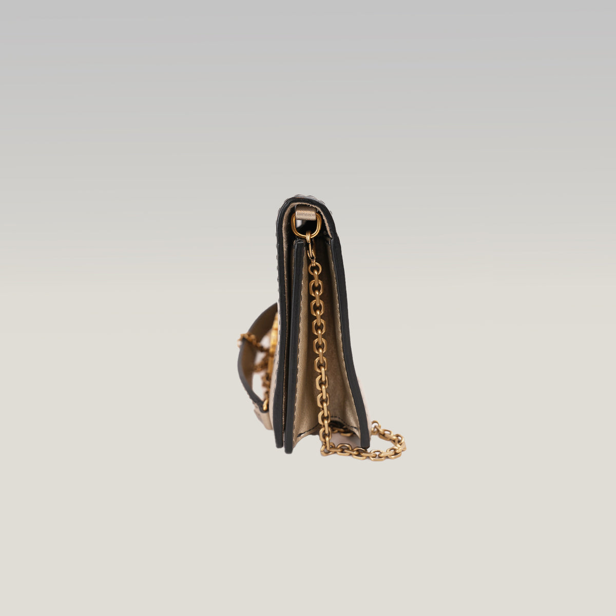 Dior J'Adior Croisière Wallet on Chain Borsa a Tracolla Media in Pelle Argentata con Logo J'ADIOR Dorato