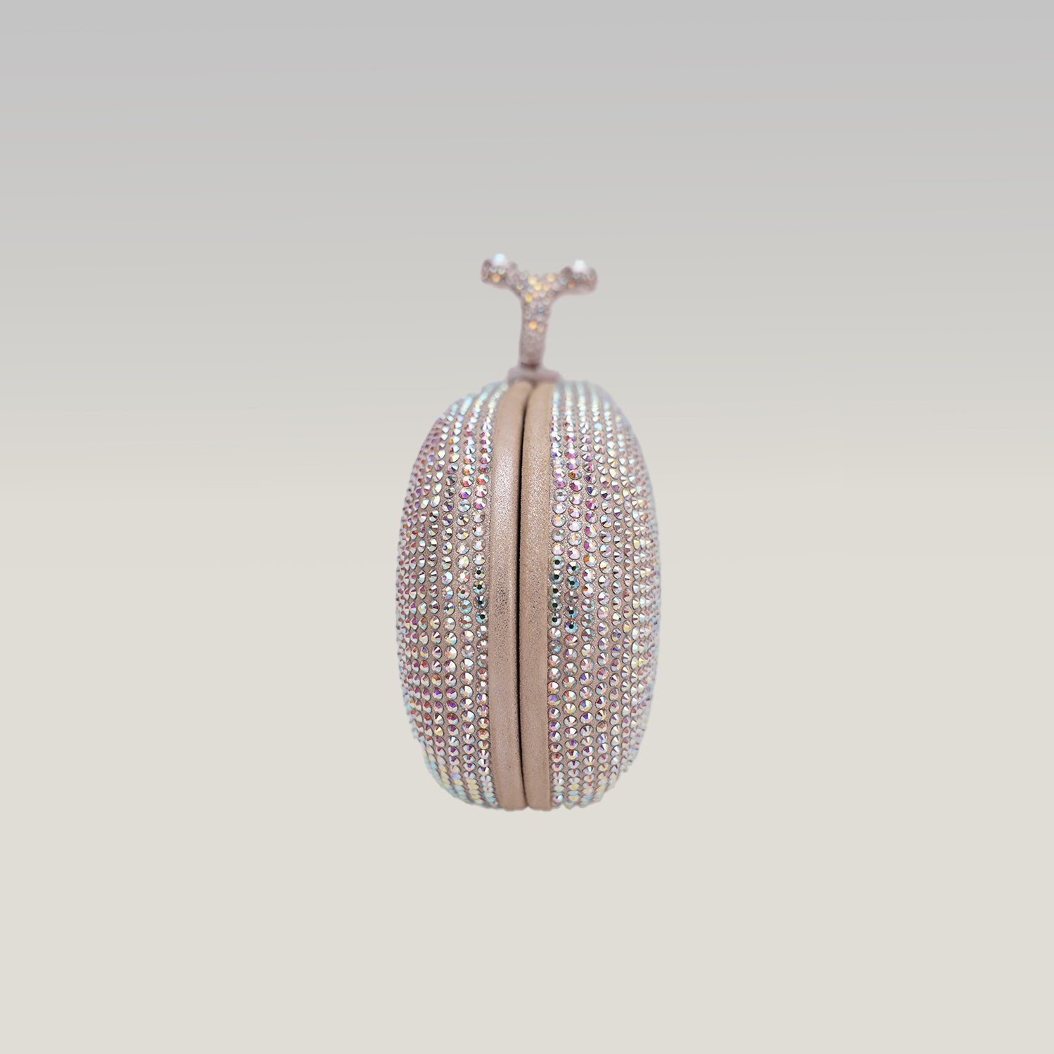 Crystal Ring Clutch Bag Argento con Strass Multicolor e Chiusura ad Anello
