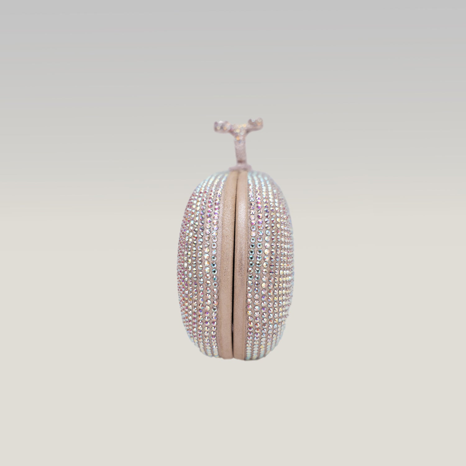 Crystal Ring Clutch Bag Argento con Strass Multicolor e Chiusura ad Anello