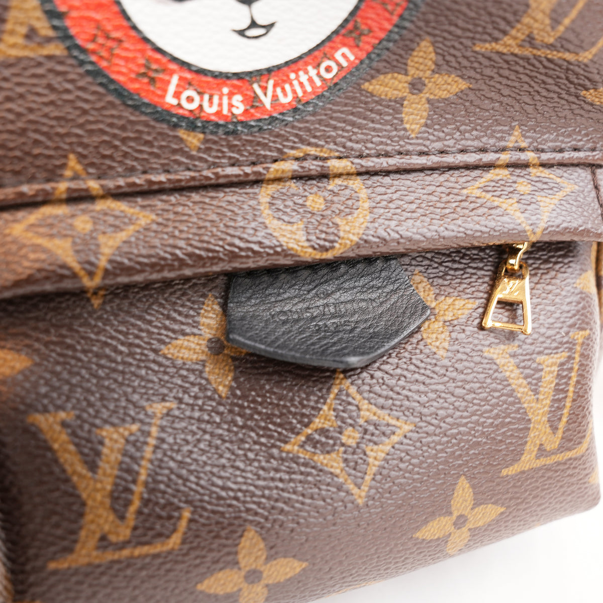 Louis Vuitton Palm Springs Mini Monogram con Patch Multicolore Edizione Limitata