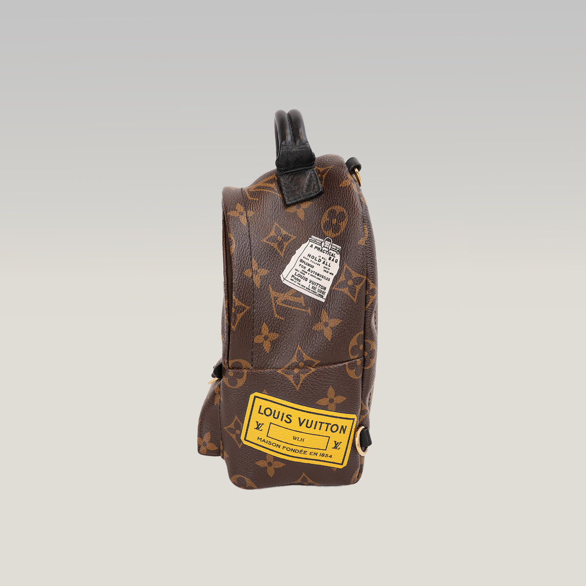 Louis Vuitton Palm Springs Mini Monogram con Patch Multicolore Edizione Limitata