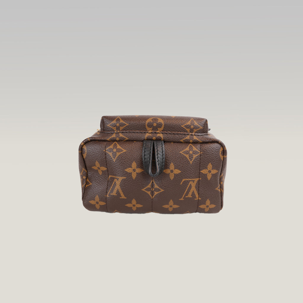 Louis Vuitton Palm Springs Mini Monogram con Patch Multicolore Edizione Limitata