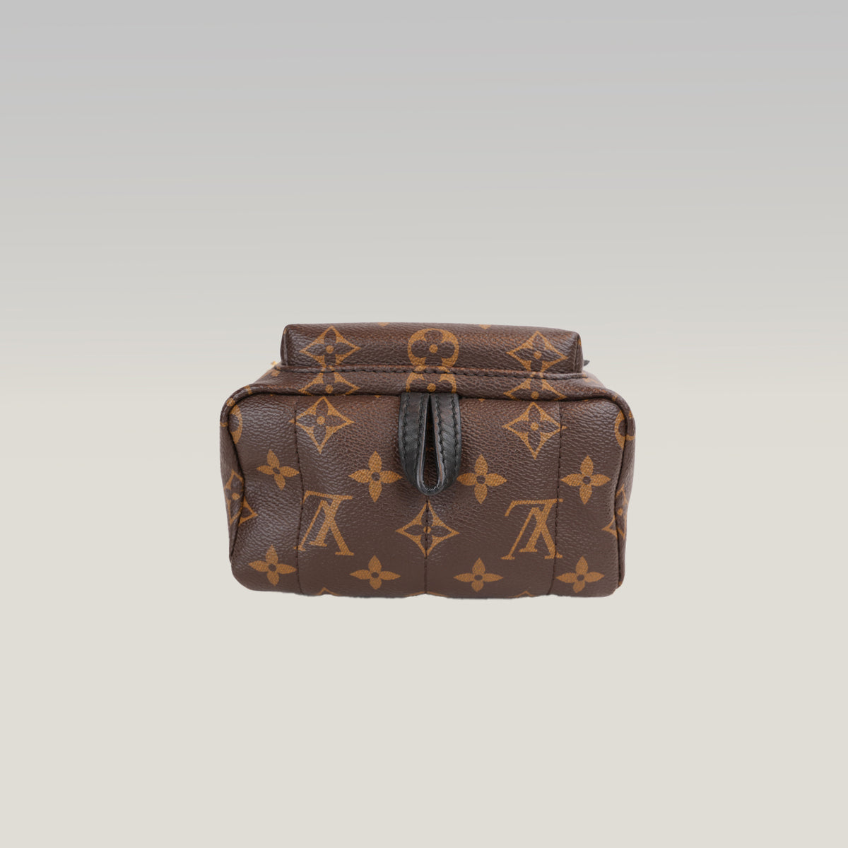 Louis Vuitton Palm Springs Mini Monogram con Patch Multicolore Edizione Limitata