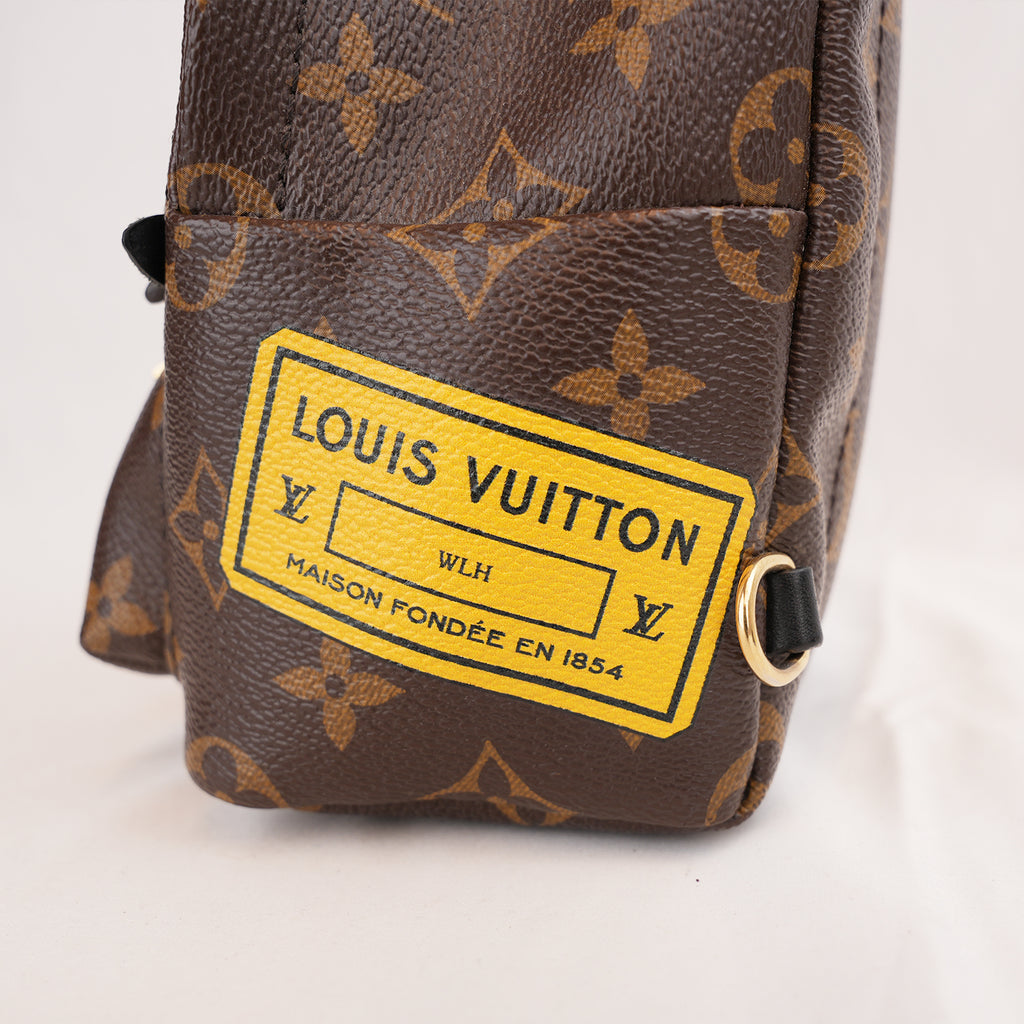 Louis Vuitton Palm Springs Mini Monogram con Patch Multicolore Edizione Limitata