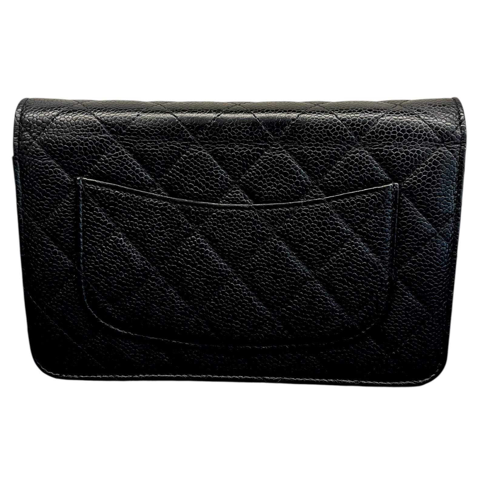 Chanel Wallet On Chain Shoulder Bag with silver hardware