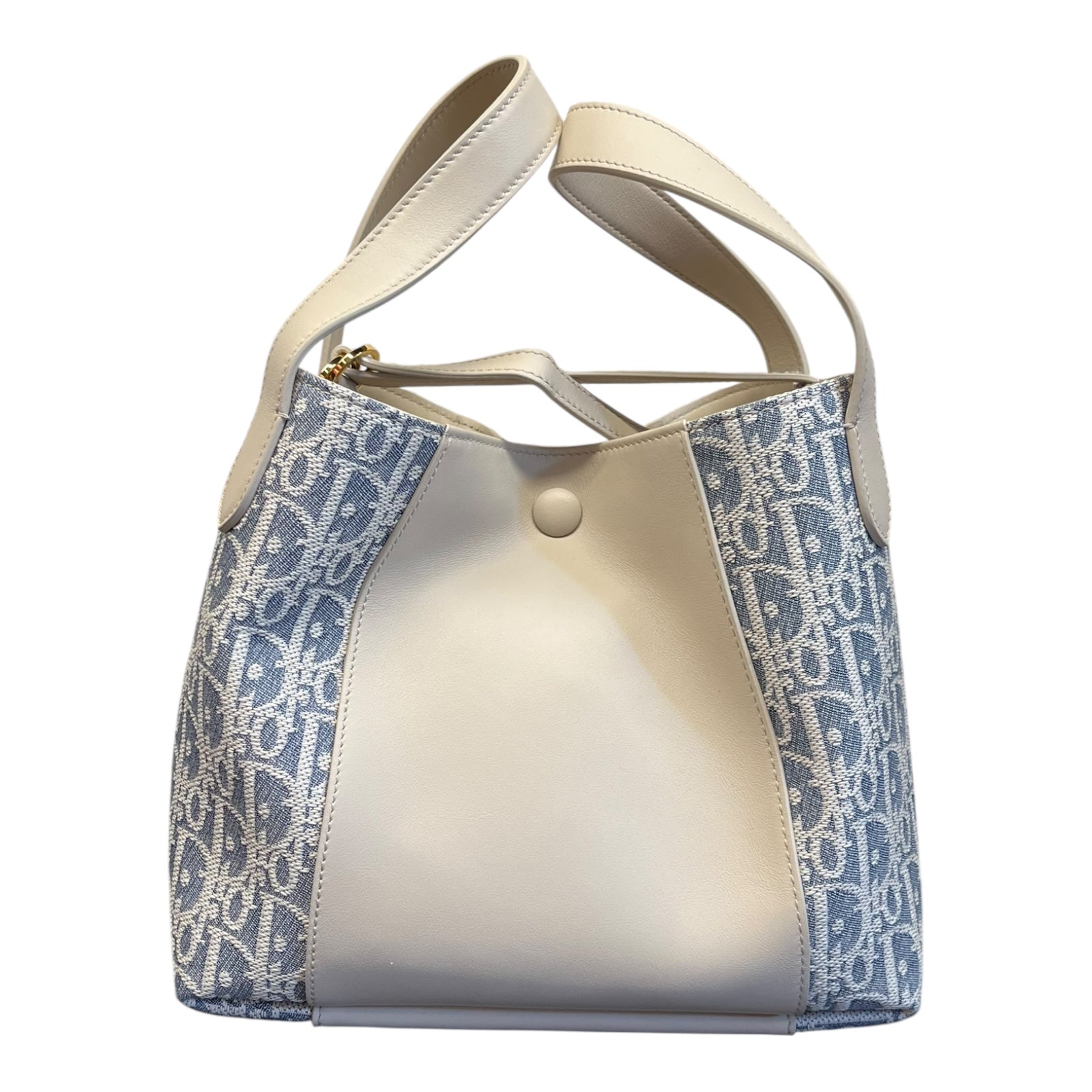 Christian Dior Signature Hand and Shoulder bag