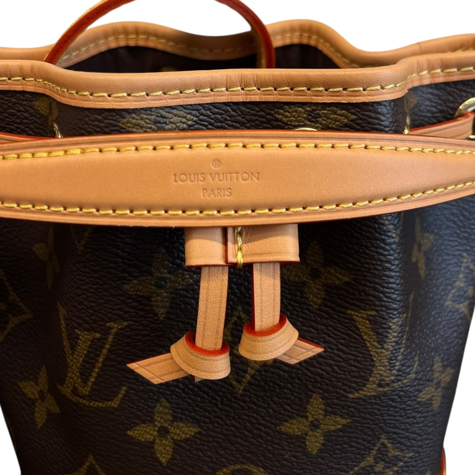 Louis Vuitton NOE nano Shoulder Bag with chip