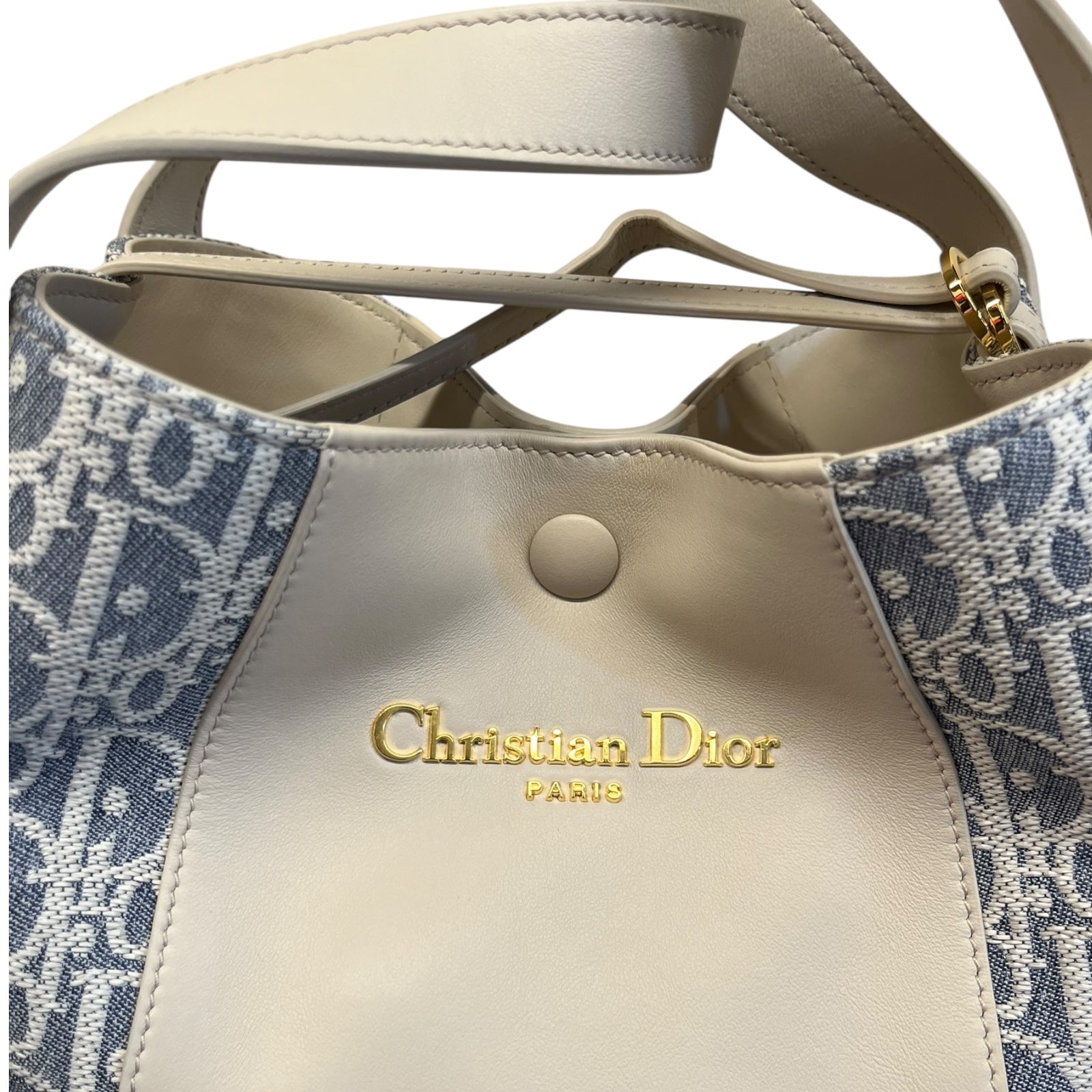 Christian Dior Signature Hand and Shoulder bag