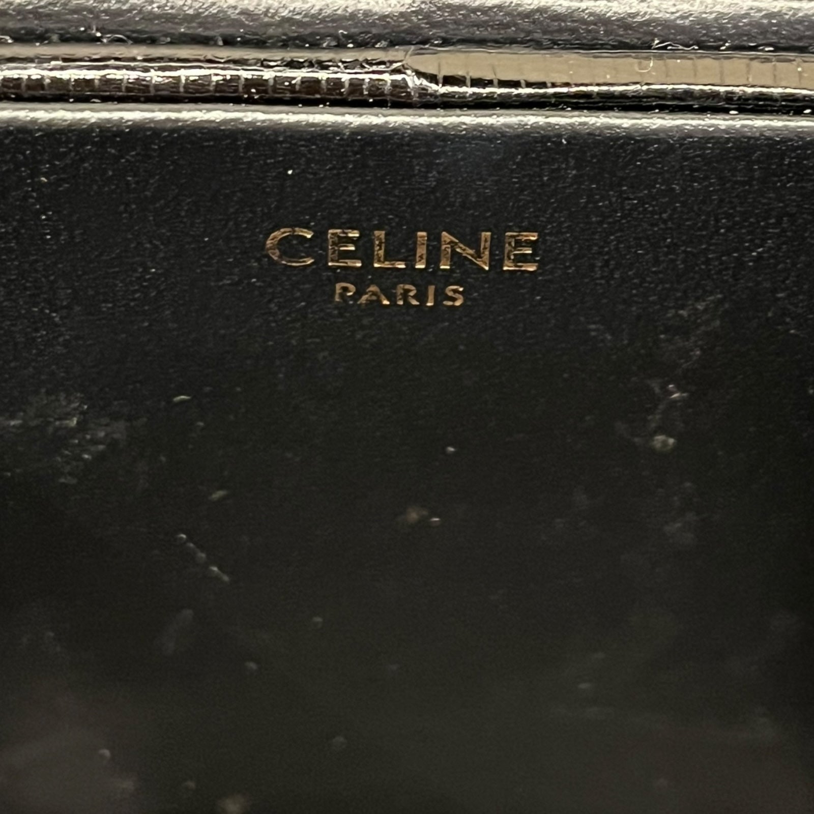 Celine Box Triomphe Lizard skin hand bag