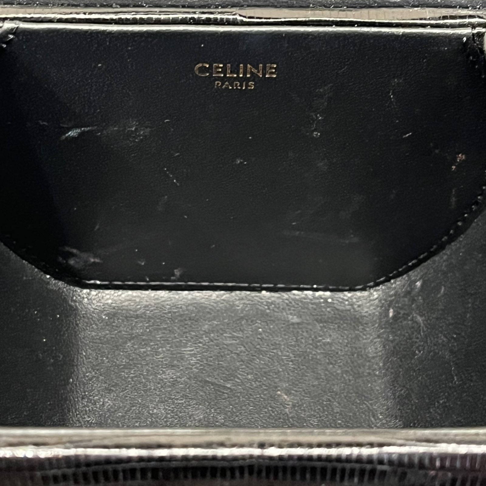 Celine Box Triomphe Lizard skin hand bag