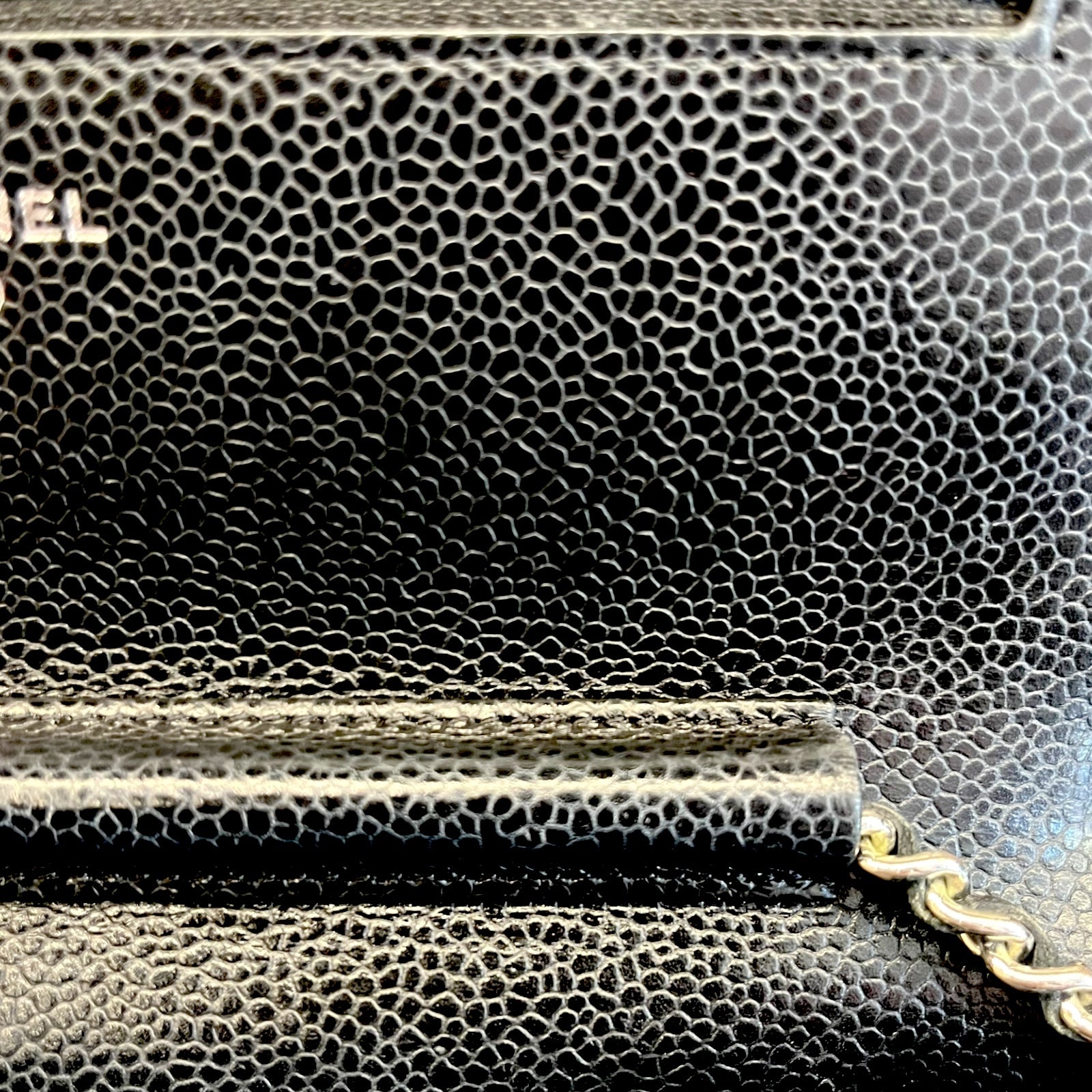 Chanel Wallet On Chain Shoulder Bag with silver hardware