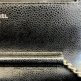 Chanel Wallet On Chain Shoulder Bag with silver hardware