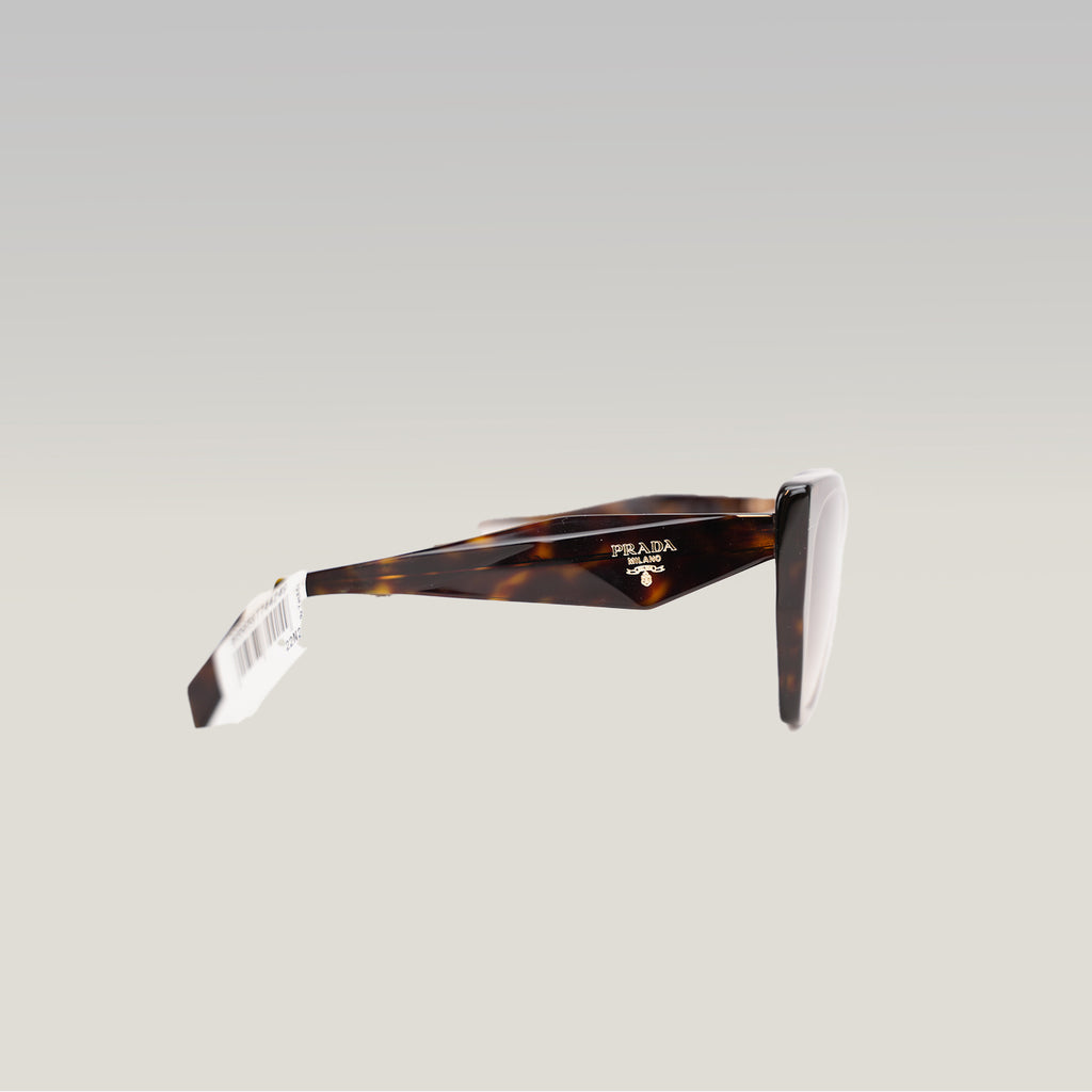 Prada PR 19ZS Tortoise Oversized Cat-Eye Sunglasses in Havana Brown