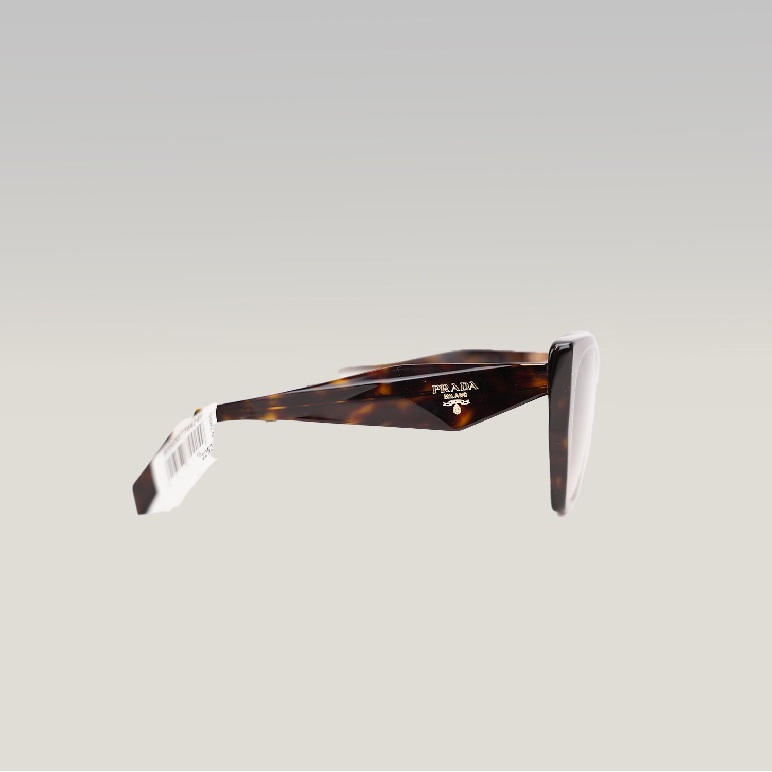 Prada PR 19ZS Tortoise Oversized Cat-Eye Sunglasses in Havana Brown