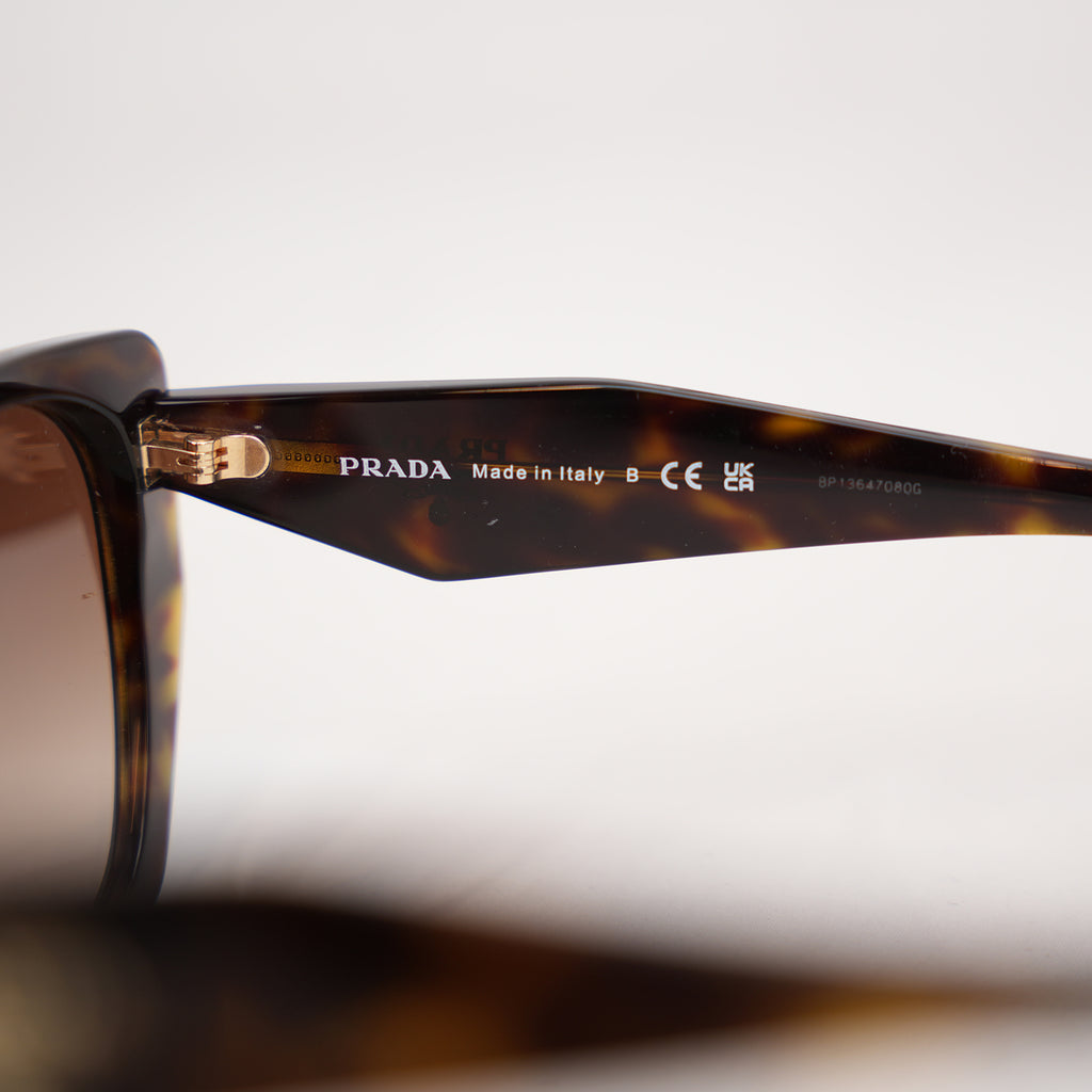 Prada PR 19ZS Tortoise Oversized Cat-Eye Sunglasses in Havana Brown