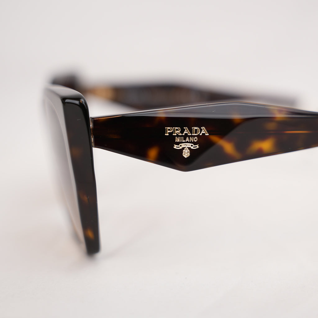 Prada PR 19ZS Tortoise Oversized Cat-Eye Sunglasses in Havana Brown