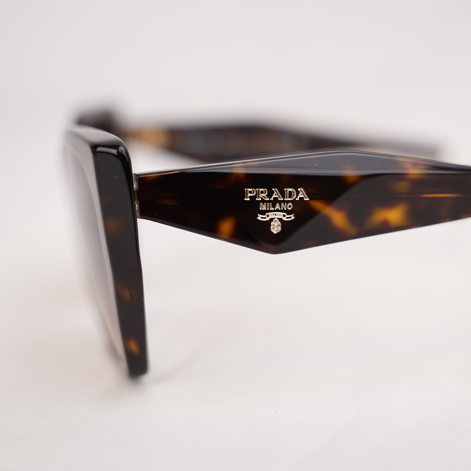 Prada PR 19ZS Tortoise Oversized Cat-Eye Sunglasses in Havana Brown