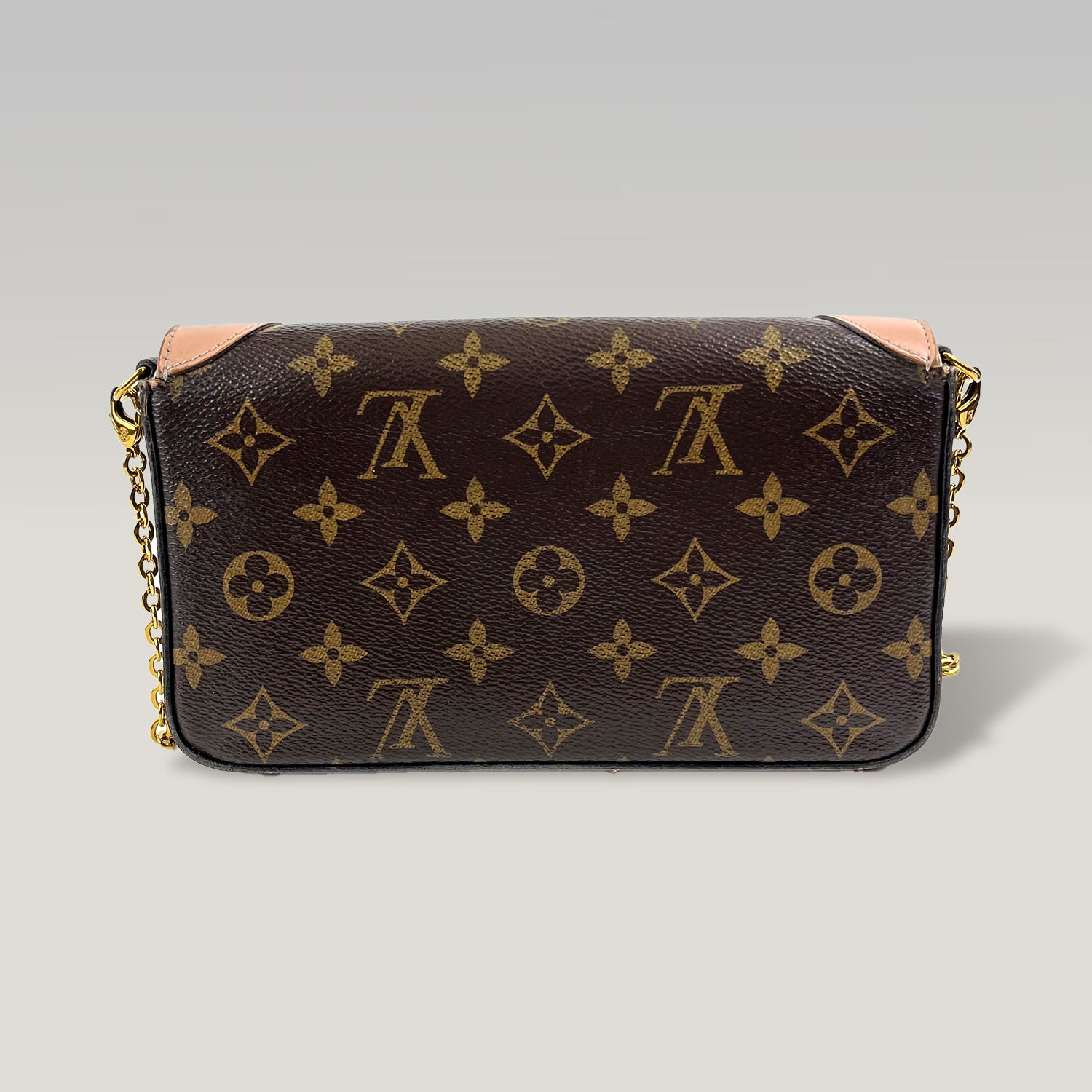 Louis Vuitton Félicie Monogram Puppy Face – Pochette a Tracolla in Tela Monogram 21 cm