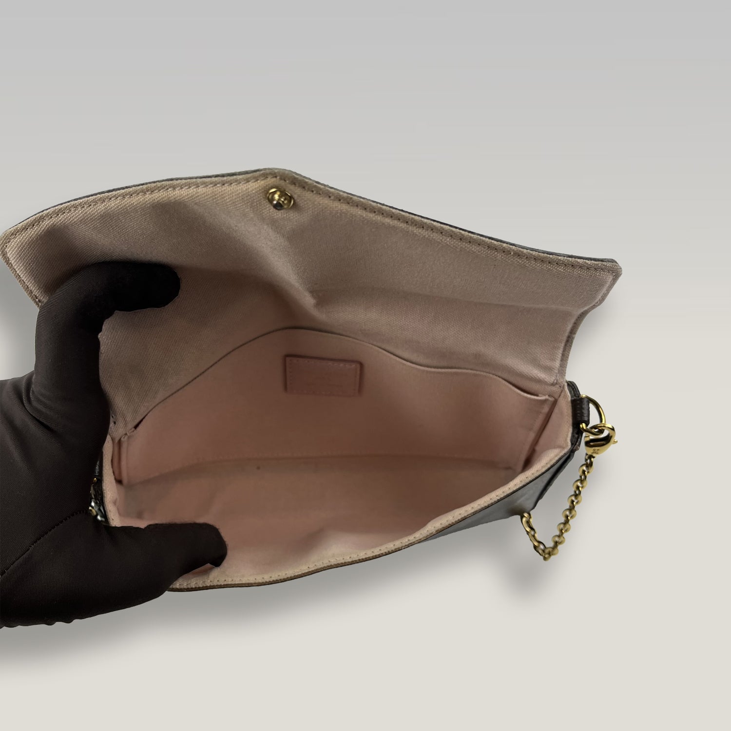 Louis Vuitton Félicie Monogram Puppy Face – Pochette a Tracolla in Tela Monogram 21 cm