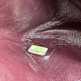 Chanel Lucky Charms Reissue 2.55 Double Flap Bag