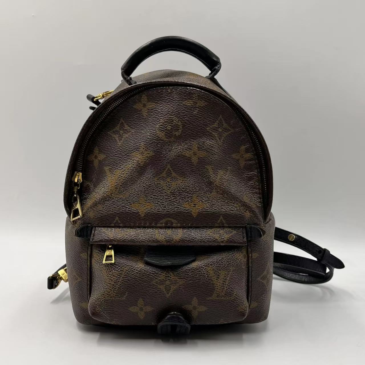 Louis Vuitton Palm Springs Mini