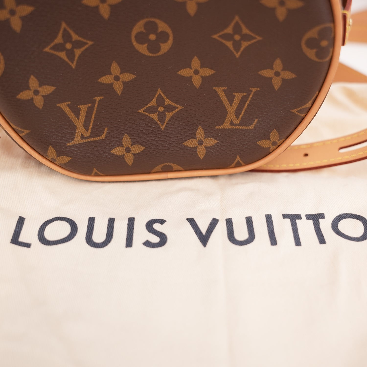 Louis Vuitton Boîte Chapeau Souple PM Monogram – Borsa a Tracolla in Tela Marrone